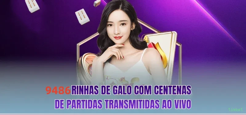 Guias de instalação da timbet